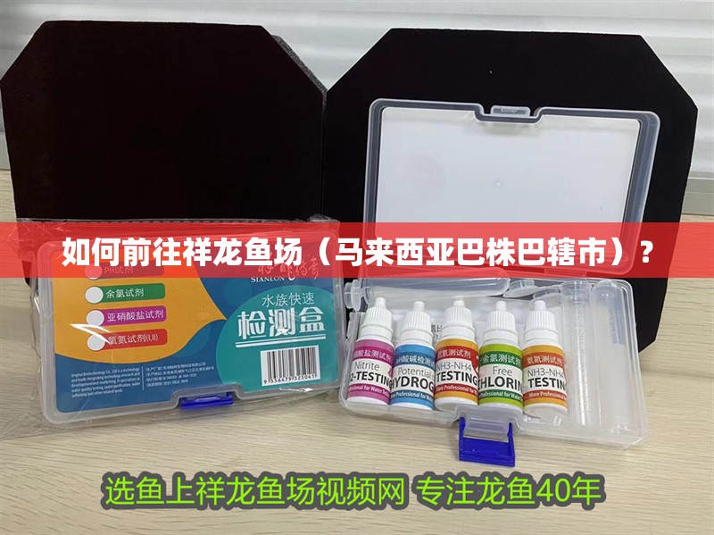 如何前往祥龍魚場（馬來西亞巴株巴轄市）？