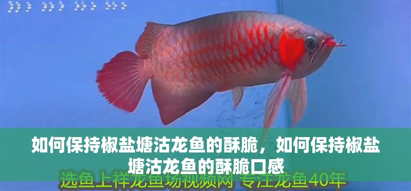 如何保持椒鹽塘沽龍魚的酥脆，如何保持椒鹽塘沽龍魚的酥脆口感
