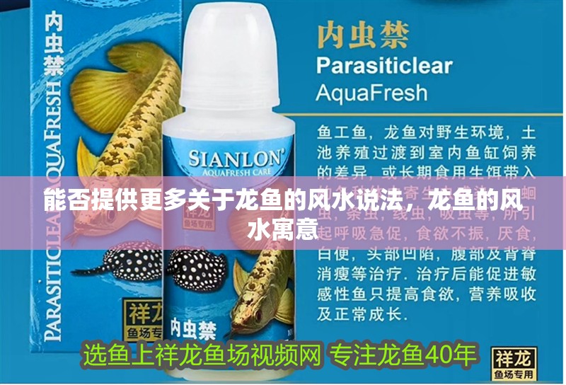 能否提供更多關(guān)于龍魚的風(fēng)水說法，龍魚的風(fēng)水寓意