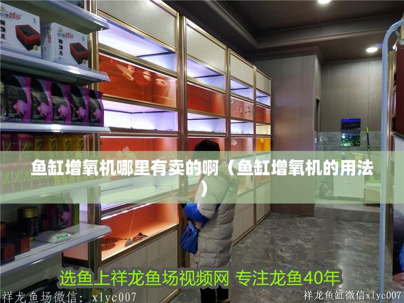 魚缸增氧機哪里有賣的啊（魚缸增氧機的用法）