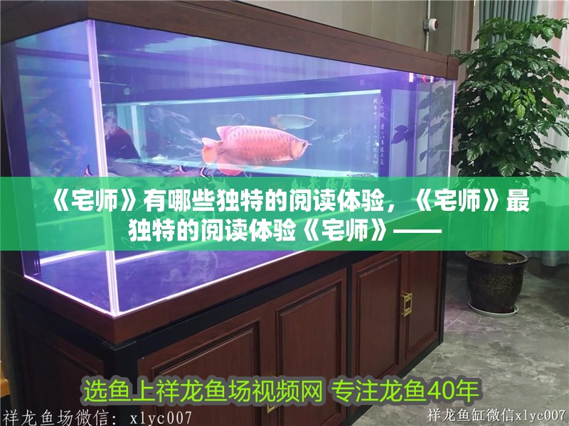 《宅師》有哪些獨特的閱讀體驗，《宅師》最獨特的閱讀體驗《宅師》——