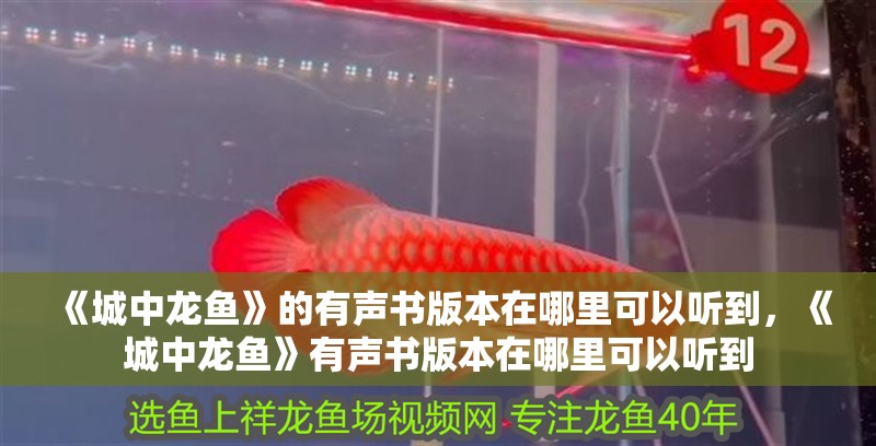 《城中龍魚》的有聲書版本在哪里可以聽到，《城中龍魚》有聲書版本在哪里可以聽到