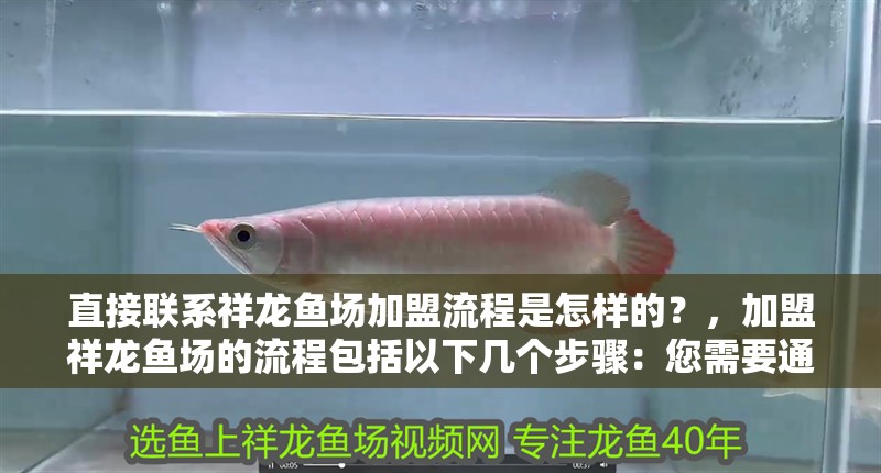 直接聯系祥龍魚場加盟流程是怎樣的？，加盟祥龍魚場的流程包括以下幾個步驟：您需要通過電話或郵件與公司取得聯系