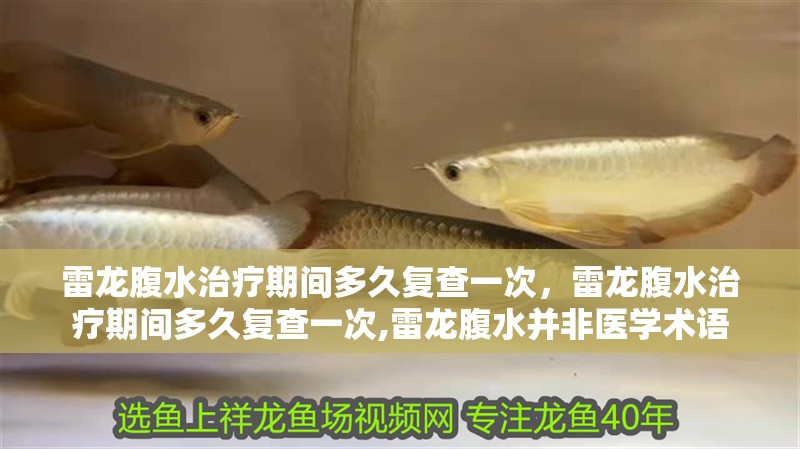 雷龍腹水治療期間多久復查一次，雷龍腹水治療期間多久復查一次,雷龍腹水并非醫學術語