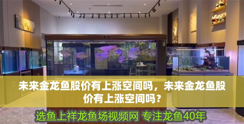 未來金龍魚股價有上漲空間嗎，未來金龍魚股價有上漲空間嗎？