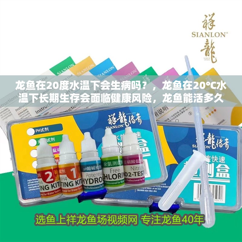 龍魚在20度水溫下會生病嗎？，龍魚在20℃水溫下長期生存會面臨健康風險，龍魚能活多久
