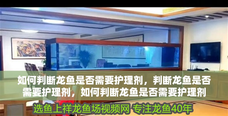 如何判斷龍魚是否需要護(hù)理劑，判斷龍魚是否需要護(hù)理劑，如何判斷龍魚是否需要護(hù)理劑