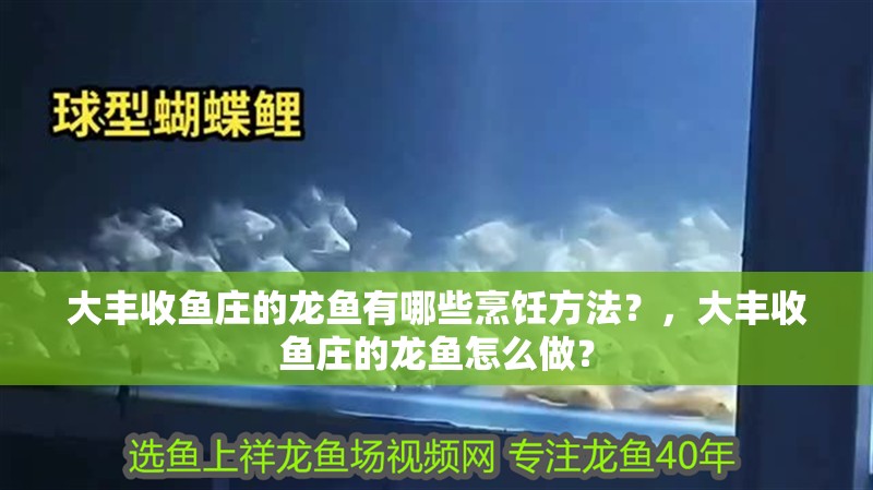 大豐收魚莊的龍魚有哪些烹飪方法？，大豐收魚莊的龍魚怎么做？