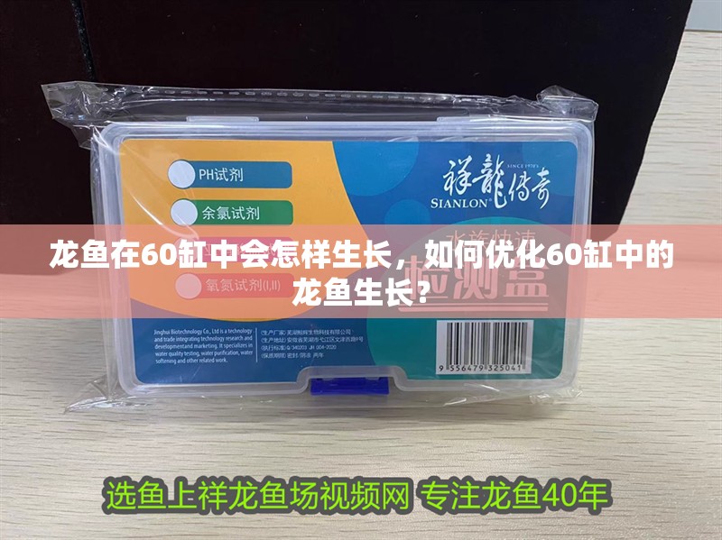 龍魚(yú)在60缸中會(huì)怎樣生長(zhǎng)，如何優(yōu)化60缸中的龍魚(yú)生長(zhǎng)？