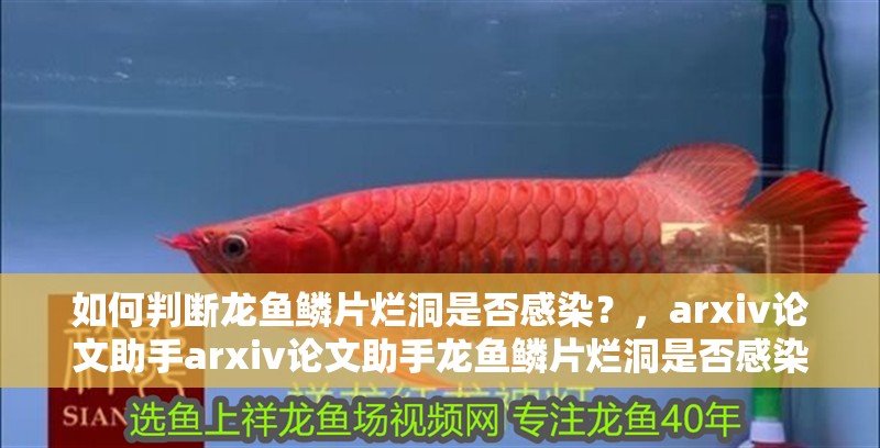 如何判斷龍魚鱗片爛洞是否感染？，arxiv論文助手arxiv論文助手龍魚鱗片爛洞是否感染