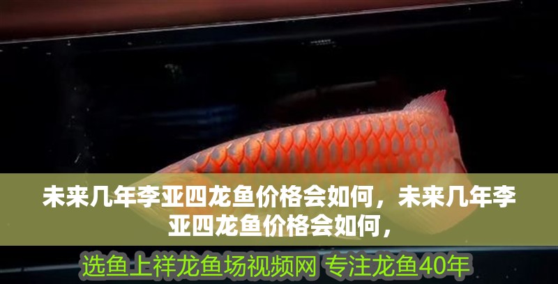 未來幾年李亞四龍魚價格會如何，未來幾年李亞四龍魚價格會如何，