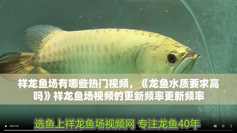 祥龍魚場有哪些熱門視頻，《龍魚水質要求高嗎》祥龍魚場視頻的更新頻率更新頻率