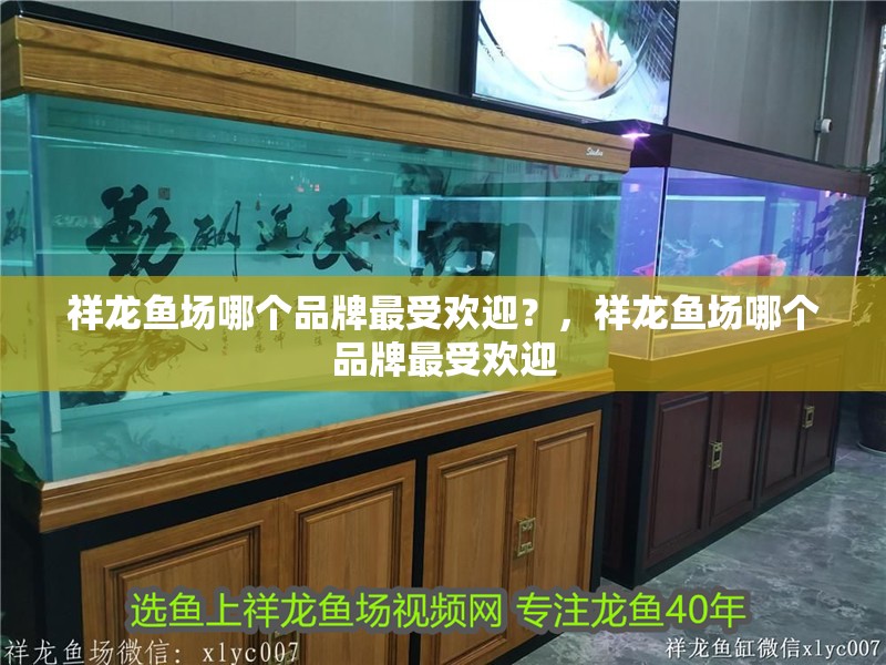 祥龍魚場哪個品牌最受歡迎？，祥龍魚場哪個品牌最受歡迎
