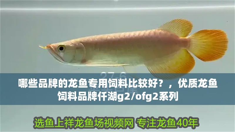 哪些品牌的龍魚專用飼料比較好？，優質龍魚飼料品牌仟湖g2/ofg2系列
