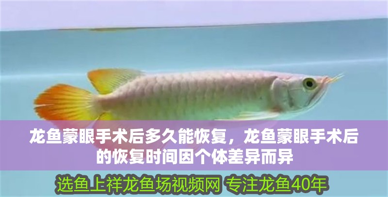 龍魚蒙眼手術后多久能恢復，龍魚蒙眼手術后的恢復時間因個體差異而異