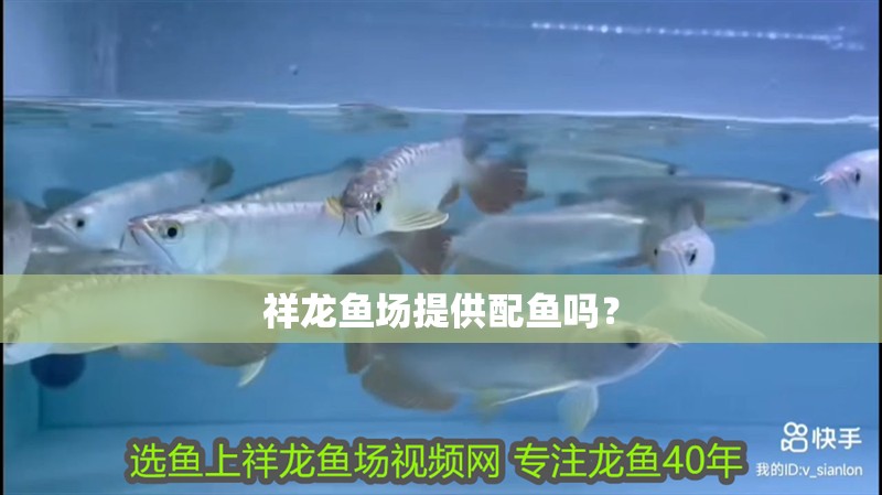 祥龍魚場提供配魚嗎？