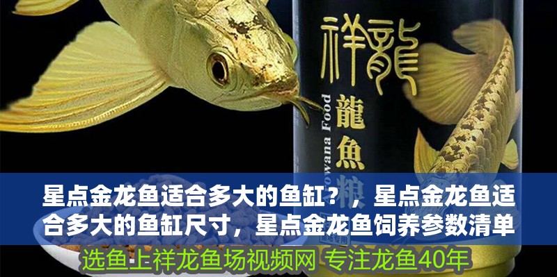 星點金龍魚適合多大的魚缸？，星點金龍魚適合多大的魚缸尺寸，星點金龍魚飼養參數清單