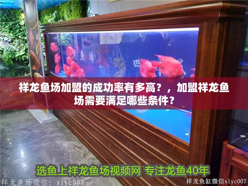 祥龍魚場加盟的成功率有多高？，加盟祥龍魚場需要滿足哪些條件？