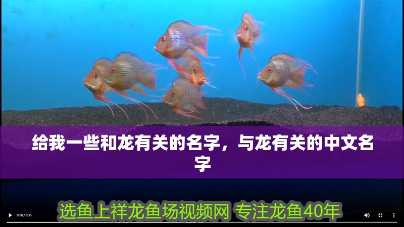 給我一些和龍有關(guān)的名字，與龍有關(guān)的中文名字
