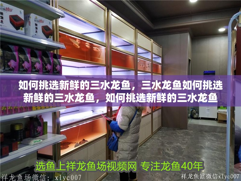 如何挑選新鮮的三水龍魚，三水龍魚如何挑選新鮮的三水龍魚，如何挑選新鮮的三水龍魚