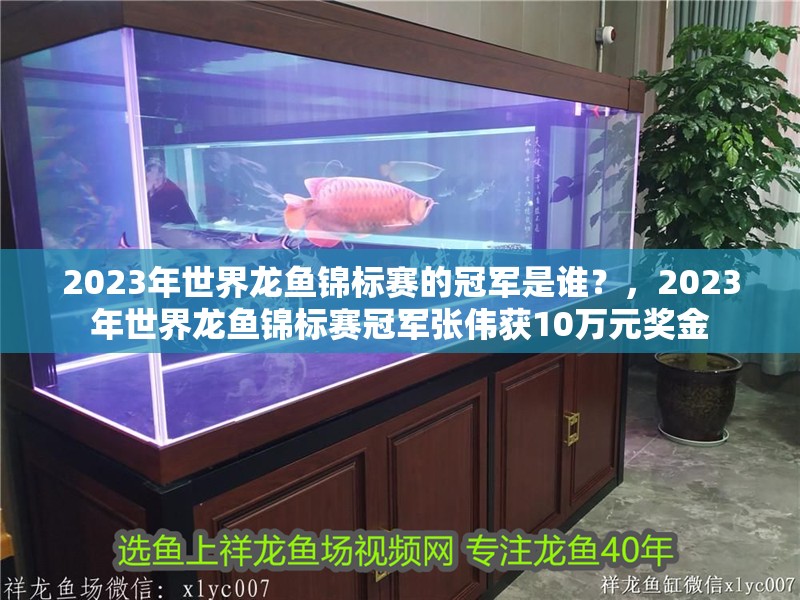 2023年世界龍魚錦標賽的冠軍是誰？，2023年世界龍魚錦標賽冠軍張偉獲10萬元獎金