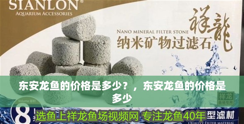 東安龍魚的價(jià)格是多少？，東安龍魚的價(jià)格是多少