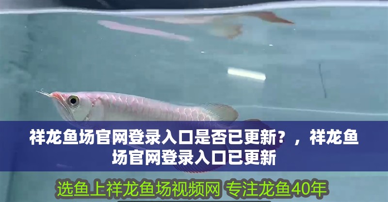 祥龍魚場官網登錄入口是否已更新？，祥龍魚場官網登錄入口已更新