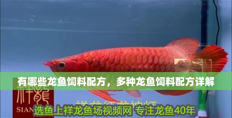 有哪些龍魚飼料配方，多種龍魚飼料配方詳解