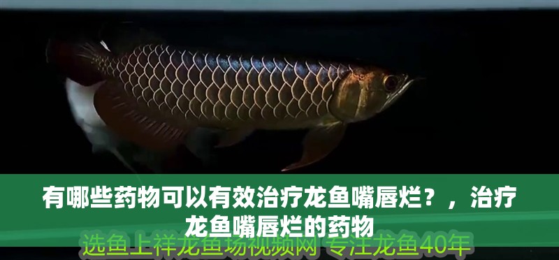 有哪些藥物可以有效治療龍魚(yú)嘴唇爛？，治療龍魚(yú)嘴唇爛的藥物
