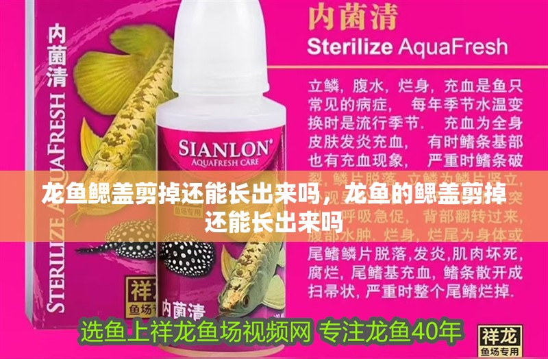 龍魚鰓蓋剪掉還能長出來嗎，龍魚的鰓蓋剪掉還能長出來嗎