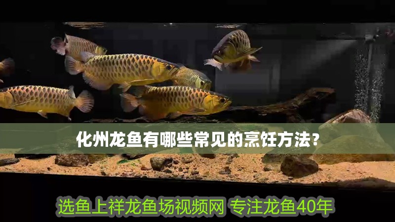 化州龍魚有哪些常見的烹飪方法？
