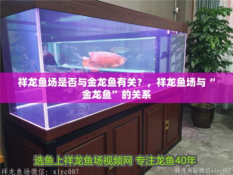 祥龍魚場是否與金龍魚有關？，祥龍魚場與“金龍魚”的關系