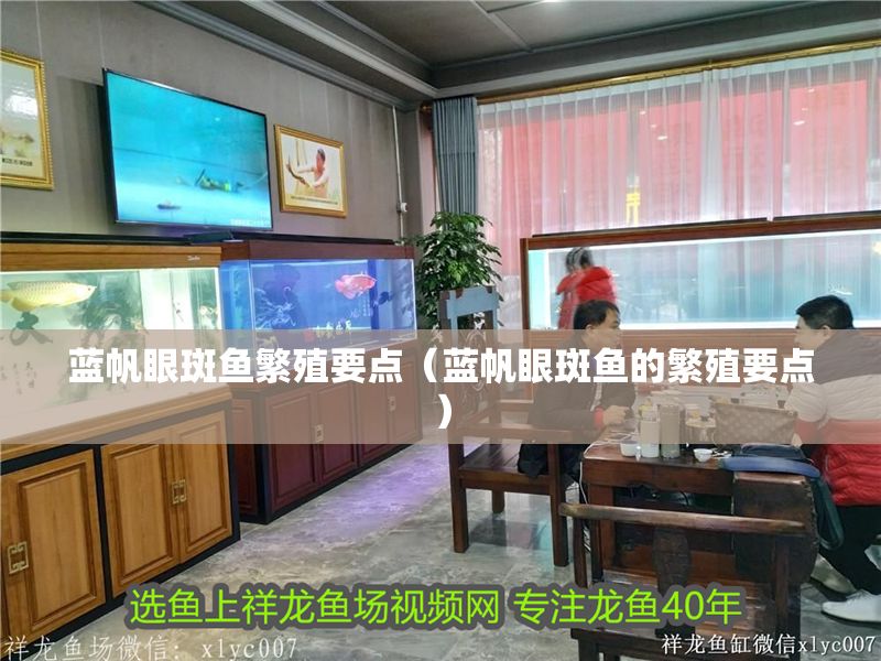 藍帆眼斑魚繁殖要點（藍帆眼斑魚的繁殖要點）