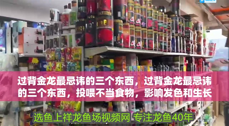 過背金龍最忌諱的三個東西，過背金龍最忌諱的三個東西，投喂不當食物，影響發色和生長