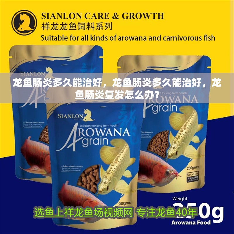 龍魚腸炎多久能治好，龍魚腸炎多久能治好，龍魚腸炎復發怎么辦？
