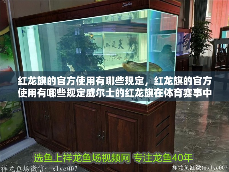 紅龍旗的官方使用有哪些規定，紅龍旗的官方使用有哪些規定威爾士的紅龍旗在體育賽事中的使用