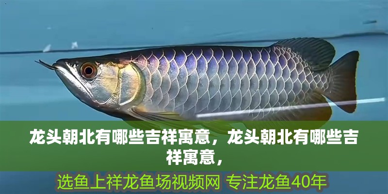 龍頭朝北有哪些吉祥寓意，龍頭朝北有哪些吉祥寓意，