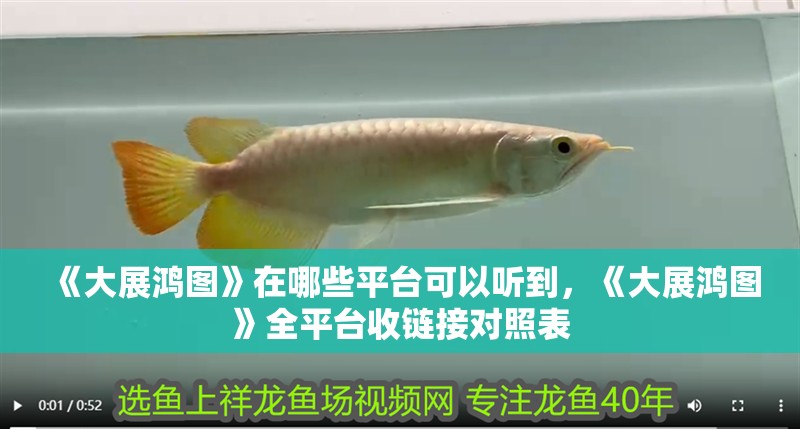 《大展鴻圖》在哪些平臺(tái)可以聽到，《大展鴻圖》全平臺(tái)收鏈接對照表