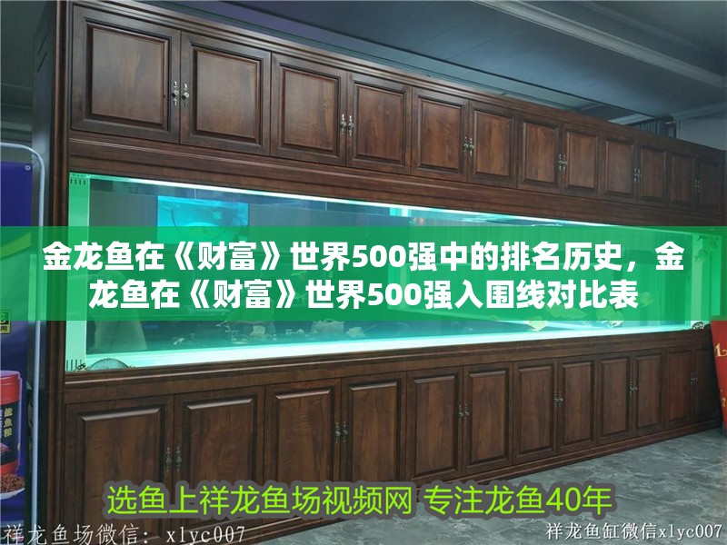 金龍魚(yú)在《財(cái)富》世界500強(qiáng)中的排名歷史，金龍魚(yú)在《財(cái)富》世界500強(qiáng)入圍線對(duì)比表