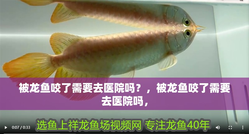 被龍魚咬了需要去醫院嗎？，被龍魚咬了需要去醫院嗎，