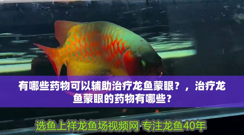 有哪些藥物可以輔助治療龍魚蒙眼？，治療龍魚蒙眼的藥物有哪些？