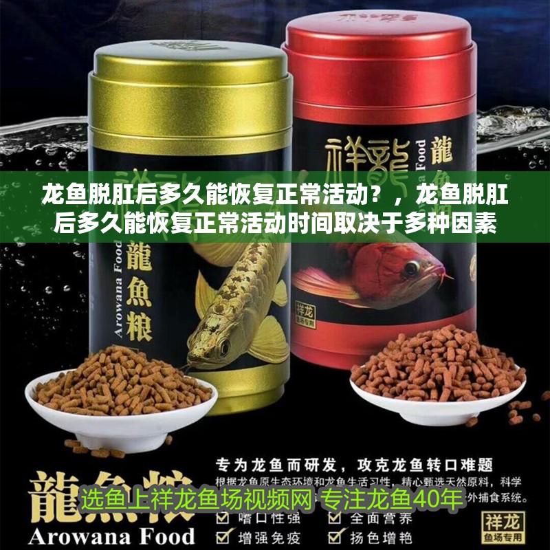 龍魚脫肛后多久能恢復正常活動？，龍魚脫肛后多久能恢復正常活動時間取決于多種因素