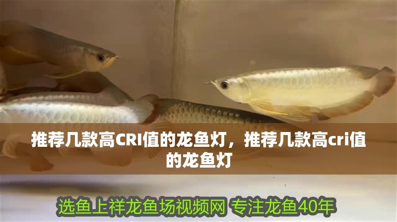 推薦幾款高CRI值的龍魚燈，推薦幾款高cri值的龍魚燈