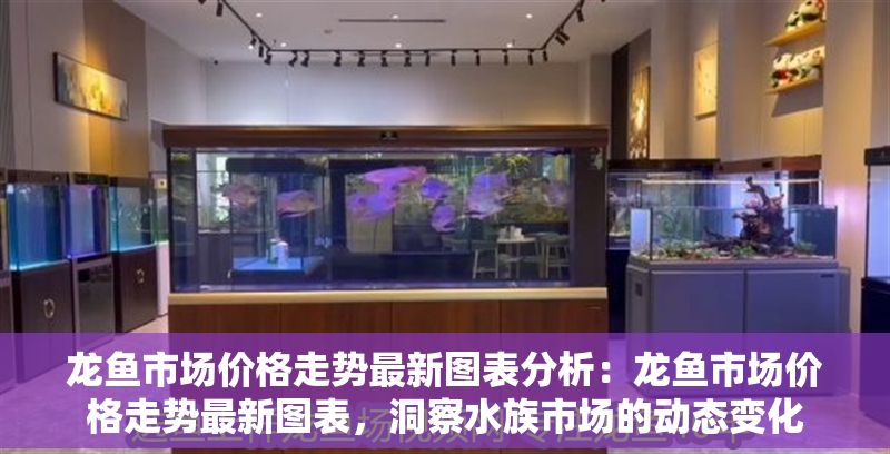 龍魚市場(chǎng)價(jià)格走勢(shì)最新圖表分析：龍魚市場(chǎng)價(jià)格走勢(shì)最新圖表，洞察水族市場(chǎng)的動(dòng)態(tài)變化