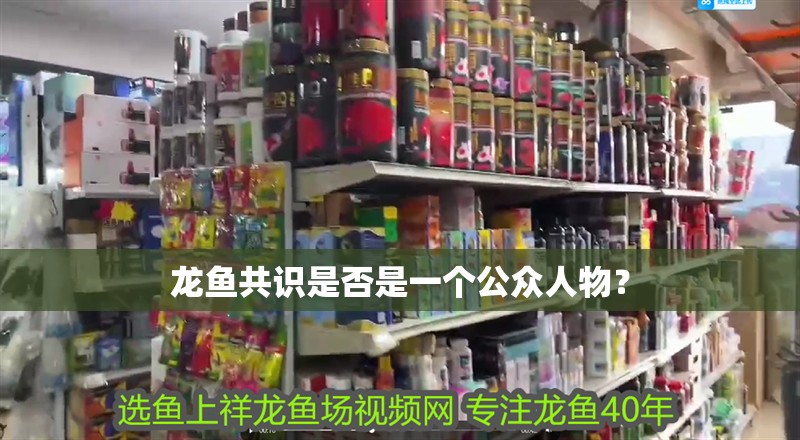 龍魚共識是否是一個公眾人物？
