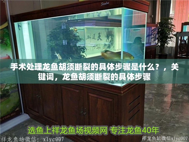 手術處理龍魚胡須斷裂的具體步驟是什么？，關鍵詞，龍魚胡須斷裂的具體步驟