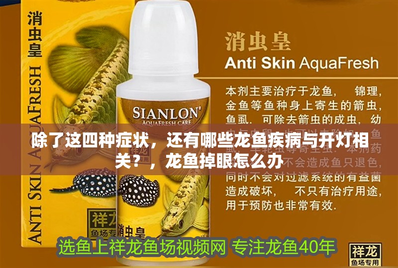 除了這四種癥狀，還有哪些龍魚疾病與開燈相關？，龍魚掉眼怎么辦
