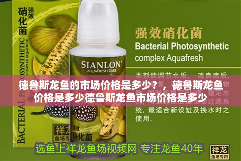 德魯斯龍魚的市場價格是多少？，德魯斯龍魚價格是多少德魯斯龍魚市場價格是多少