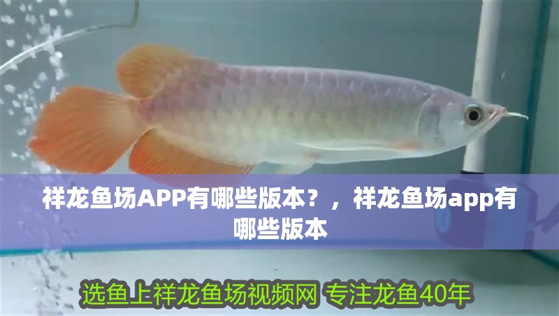 祥龍魚(yú)場(chǎng)APP有哪些版本？，祥龍魚(yú)場(chǎng)app有哪些版本