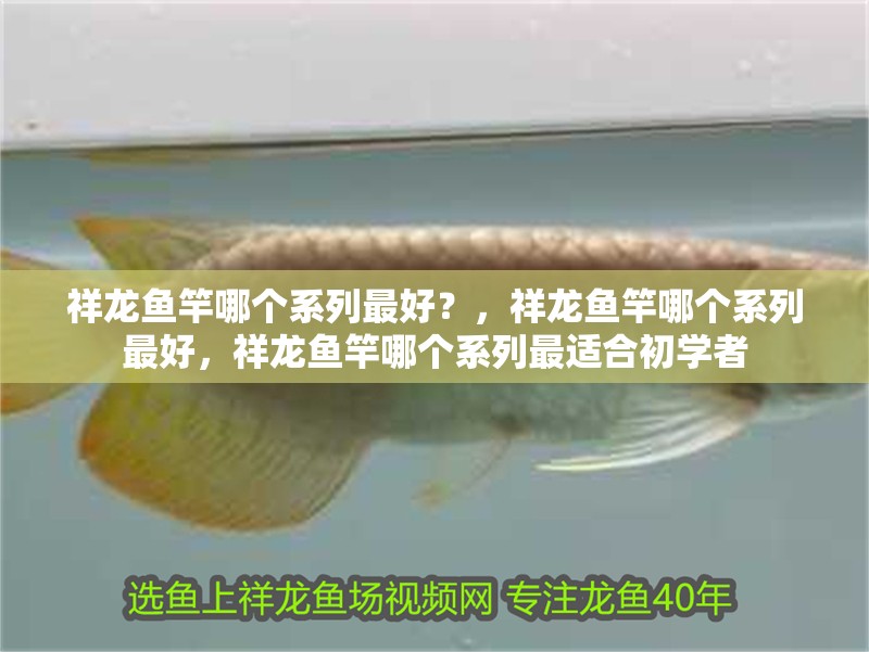 祥龍魚(yú)竿哪個(gè)系列最好？，祥龍魚(yú)竿哪個(gè)系列最好，祥龍魚(yú)竿哪個(gè)系列最適合初學(xué)者